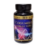 Cogumelo Juba de Leão